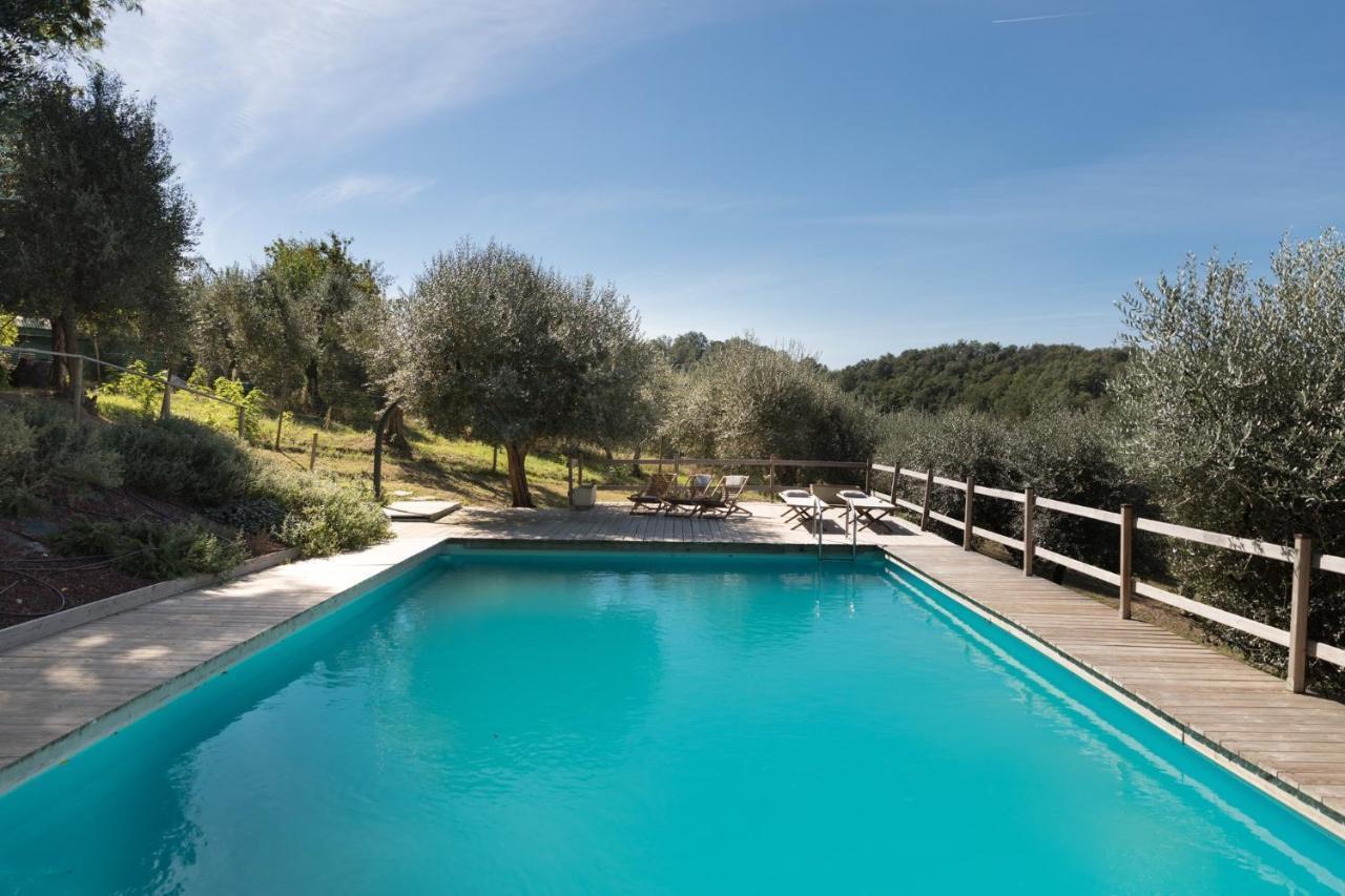 פונטדרה Alpaca Country House מראה חיצוני תמונה