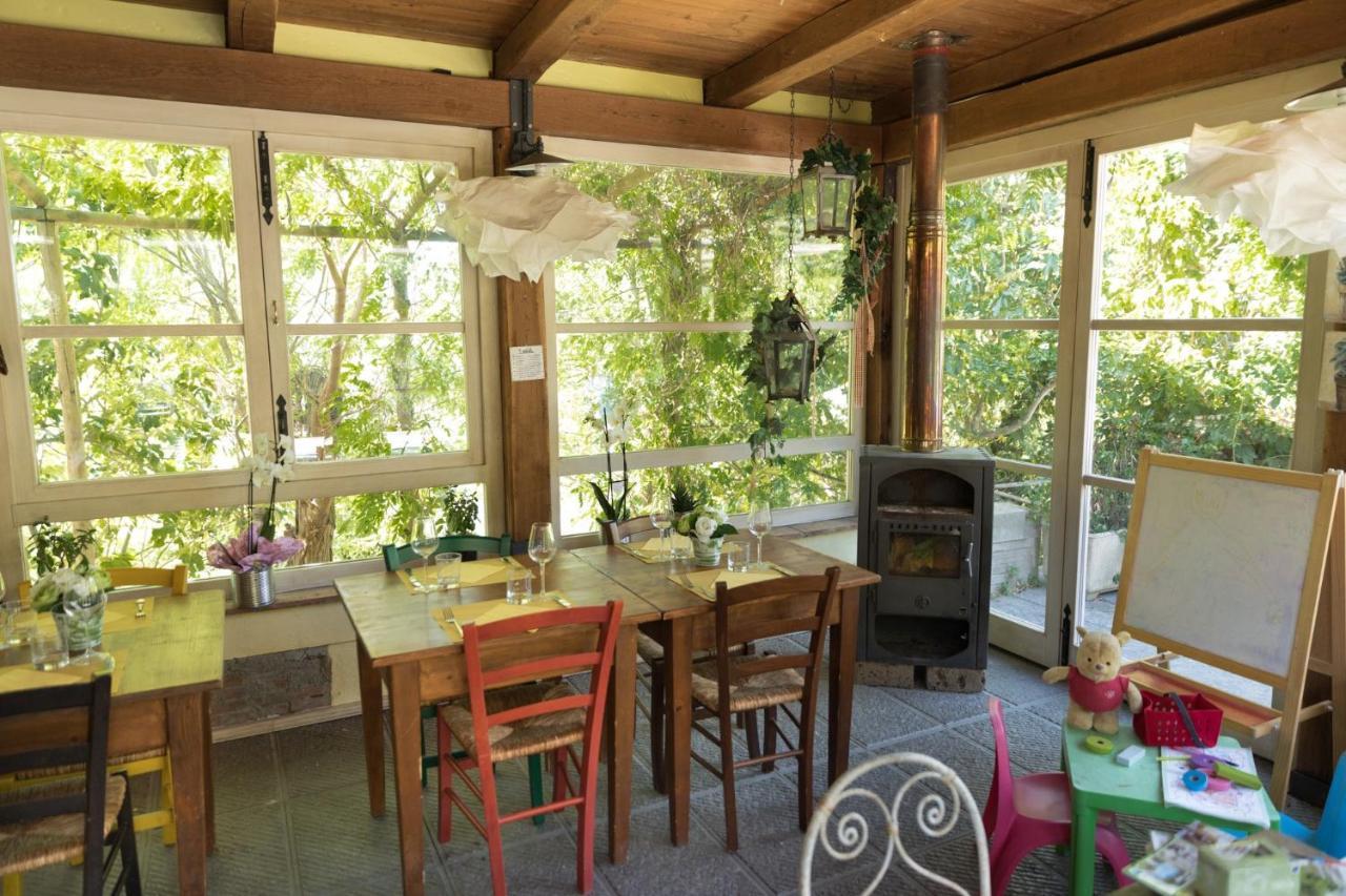 פונטדרה Alpaca Country House מראה חיצוני תמונה